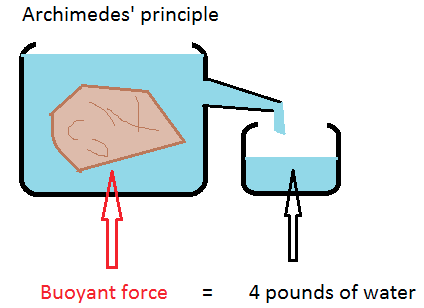 definition archimedes principle definition archimedes principle