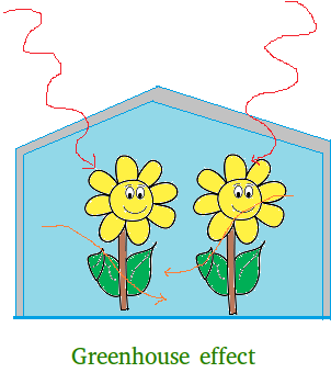Greenhouse Effect