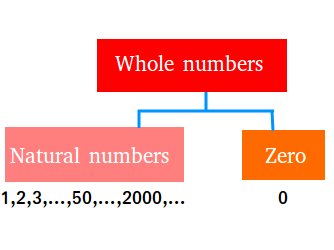 What Are Whole Numbers Definition Facts And Examples