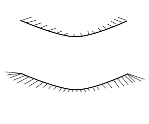 Optical illusion Optical illusion