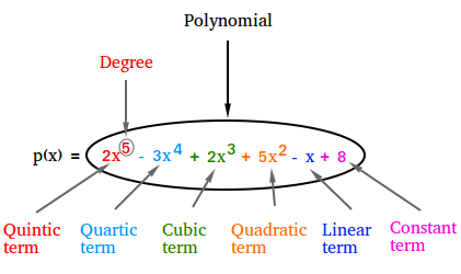 Polynomial function