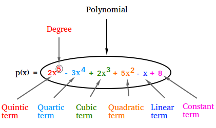 Polynomial function. Constant term. Polynomial картинки. Polynomial Rules.