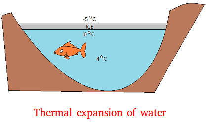 Thermal expansion of water