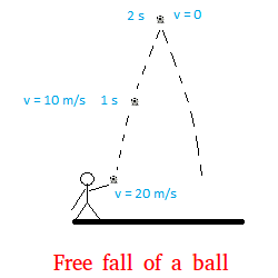 Free fall of a ball
